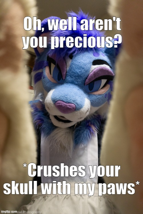 📸<a href="/SparksTheFolf/">⚡️Sparks⚡️🐺 🦊</a>