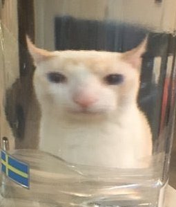_trulu_chi's tweet photo. Day seventy-six waiting for Xilonen😛😜😘😉😌😃😛😗🐸🤐😗😕🍆🍆😚😛😎😛😋😙🤐😃🐸😗🐸🐥🥵🥵🐥🐥🌰🥳😛😦😘🐆😘😘
#GenshinImpact #Natlan #games #GenshinXMcD #waifugirl #MOMMY #geo #Hoyoverse #putupau #putu #Xilonen #lumine #Kinich #Mualani #Kachina https://t.co/BNaRDg5ZOF