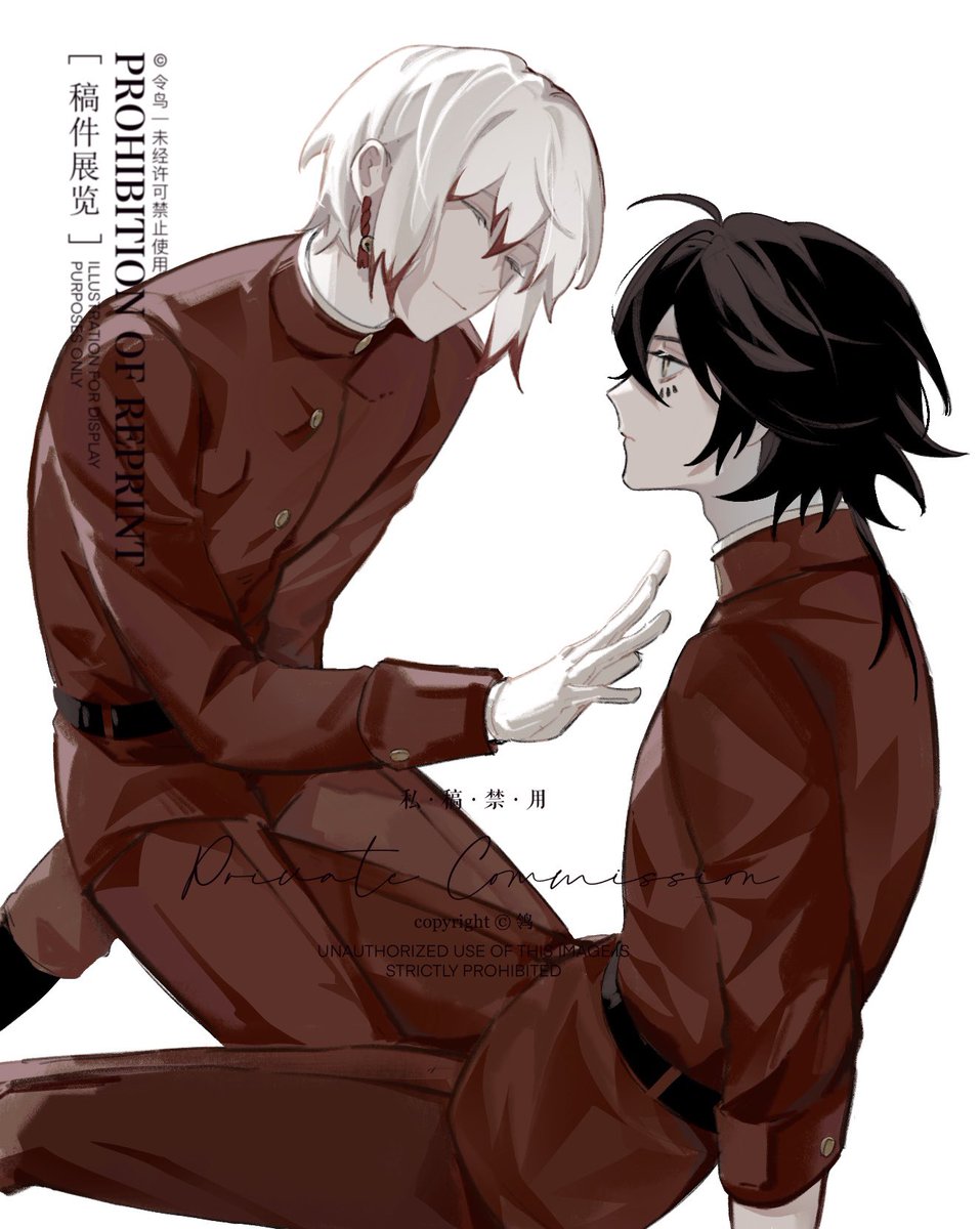 Motacilla tweet media