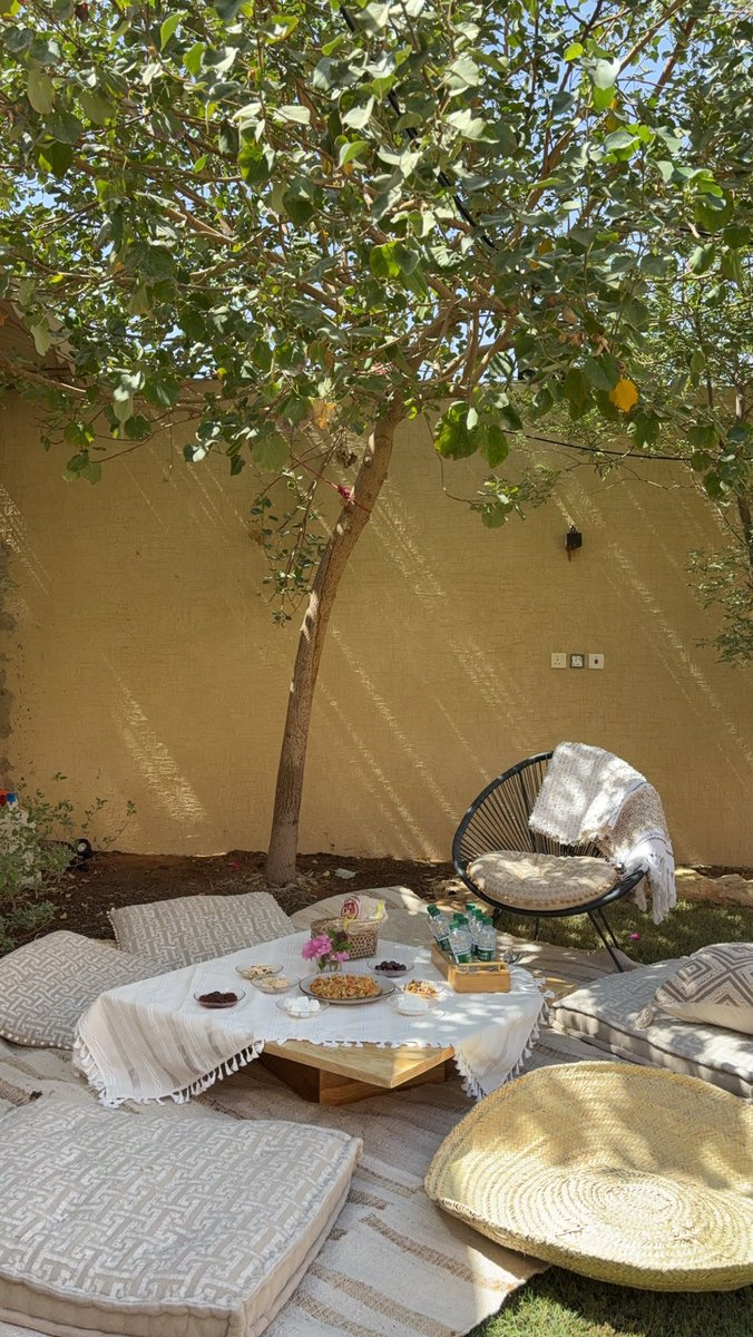 بدأت الأجوآء تزين قلت اسوي  لي فطور تحت ظل شجرة الخبز الساحلي شجرة ظل ممتازة و قوية وسريعة النمو😍😍