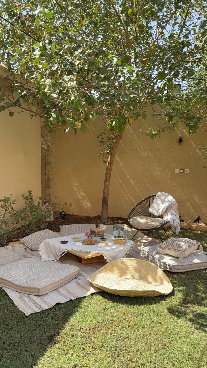 Manalfuaz's tweet photo. بدأت الأجوآء تزين قلت اسوي  لي فطور تحت ظل شجرة الخبز الساحلي شجرة ظل ممتازة و قوية وسريعة النمو😍😍 https://t.co/4Fc1VyZp4K