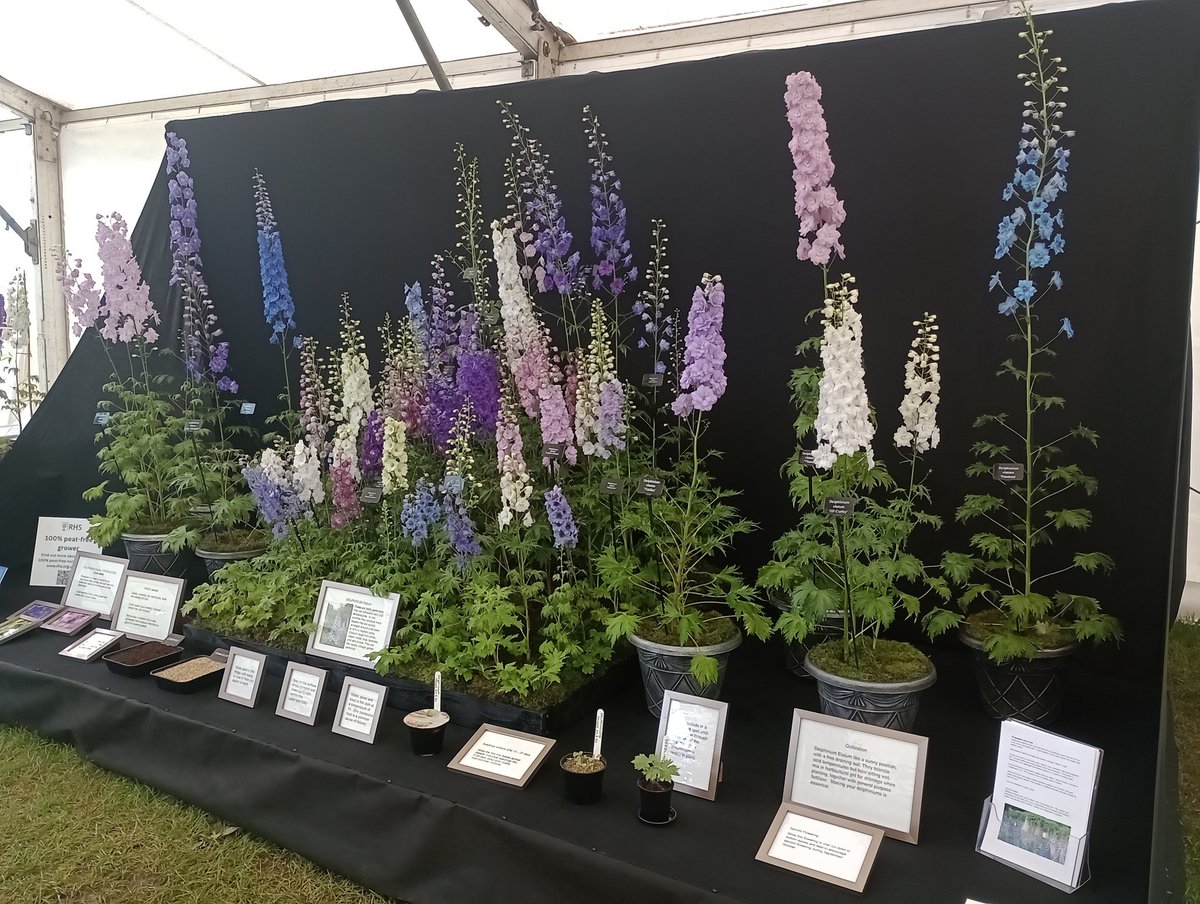 Very happy to be able to put on a display at this time of year and be awarded Silver Gilt <a href="/MalvernShows/">RHS Malvern Spring & Autumn Shows</a> <a href="/The_RHS/">The RHS</a> Last show of the season