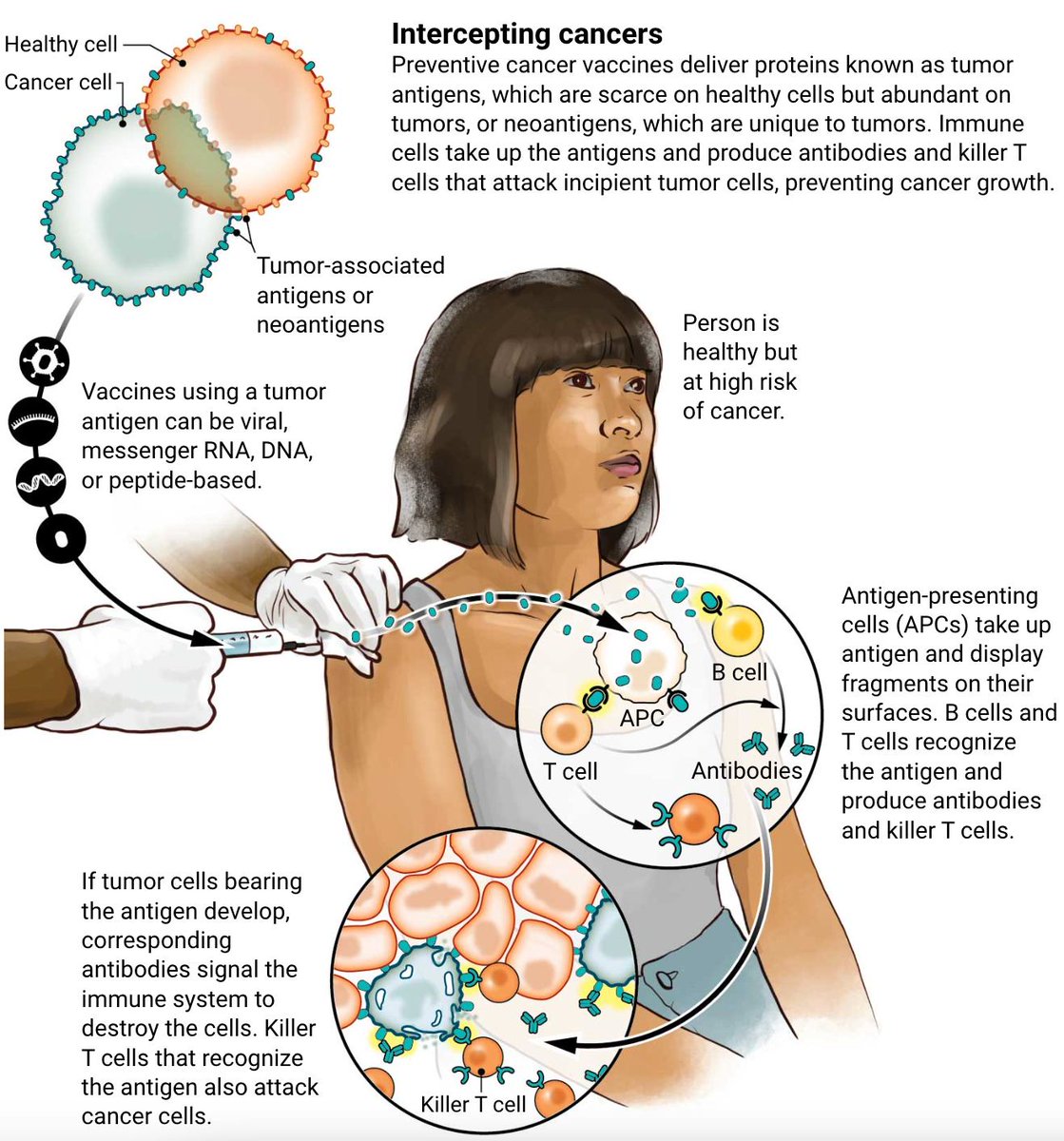 Science Magazine (@sciencemagazine) on Twitter photo A new generation of cancer-preventing vaccines could wipe out tumors before they form.
Learn more: scim.ag/8o0 <a href="/NewsfromScience/">News from Science</a> #ScienceMagArchives A new generation of cancer-preventing vaccines could wipe out tumors before they form.
Learn more: scim.ag/8o0 <a href="/NewsfromScience/">News from Science</a> #ScienceMagArchives
