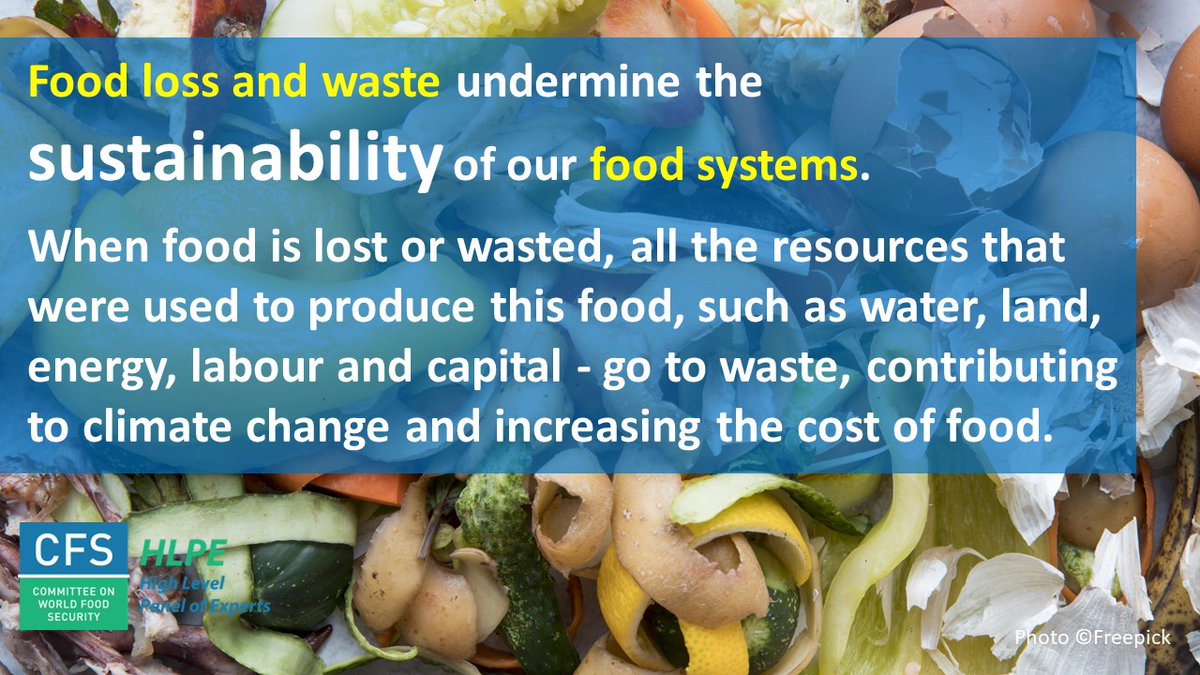 HLPE-FSN tweet media