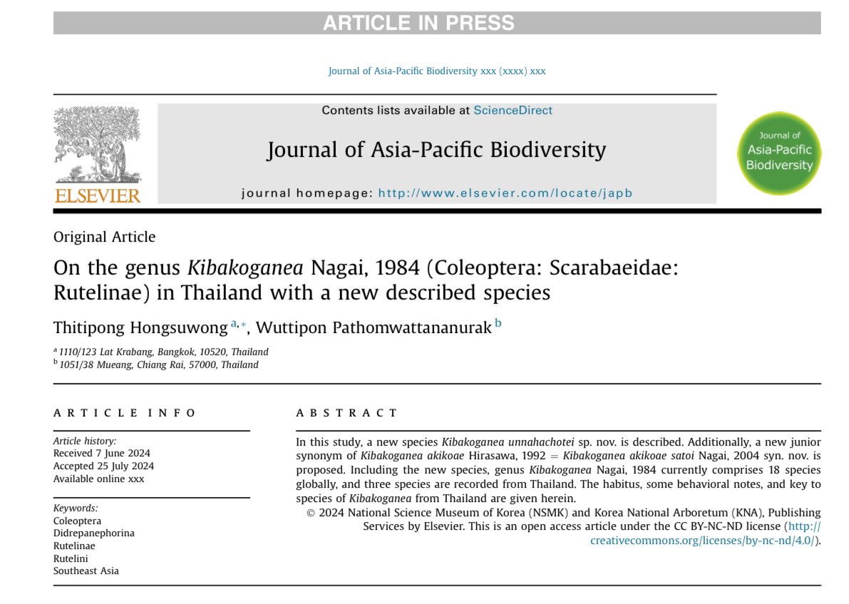 Franceu12's tweet photo. Recently, New species

Kibakoganea unnahachotei 
Hongsuwong&amp;Pathomwattananurak, 2024

From Thailand

https://t.co/Ll7siTHkAN https://t.co/x3XjFWPpw8