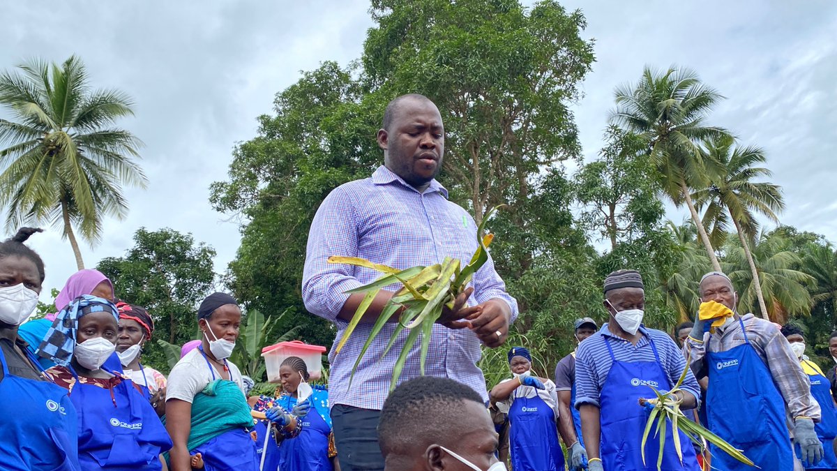 daoudab32's tweet photo. Formation de 150 personnes sur les techniques culturales de l’ananas, dans la préfecture de forecariah.

Une réalisation du cabinet CECAD sur financement de l’ONFPP

#CECAD #ONFPP #AgriDeveloppement https://t.co/sfQFxZYjkv