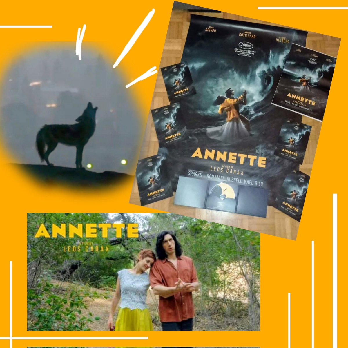 Sacha P. tweet media