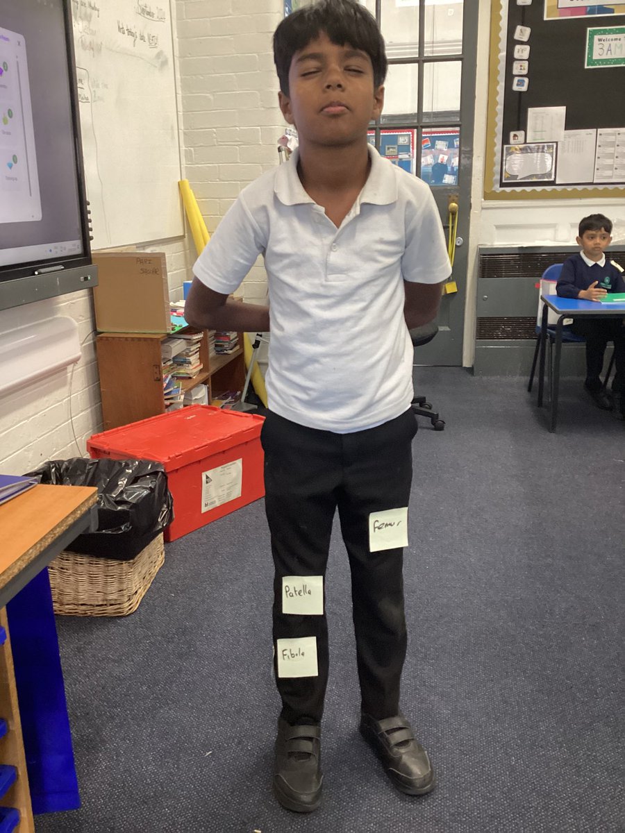 MrMakda_AMPA's tweet photo. Finally learnt how to use Twi- X! Last week, 3AM got to know our bones with post-it notes all over the place. Talk about a “skele-fun” project! Get it? Skele-fun, skele-to—no? Ok…😬🦴@AbbeyMead_TMET #SkeleFun #StickySituation #PostItLearning https://t.co/fBp13z8KGA