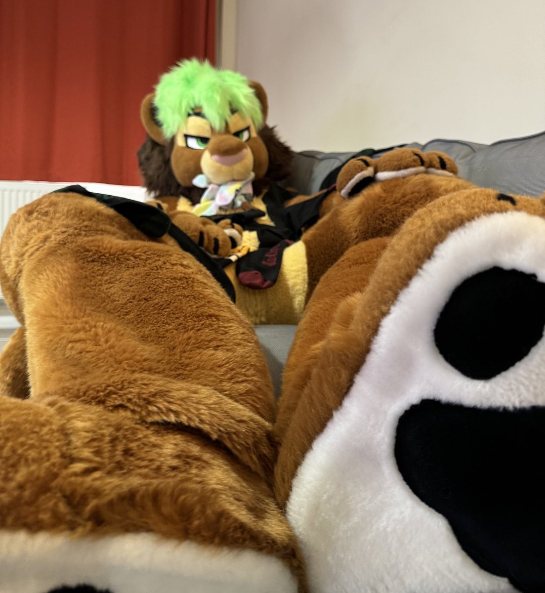 Sock it to me this #FursuitFriday 🦁🐾🧦🧦🧦🧦🧦