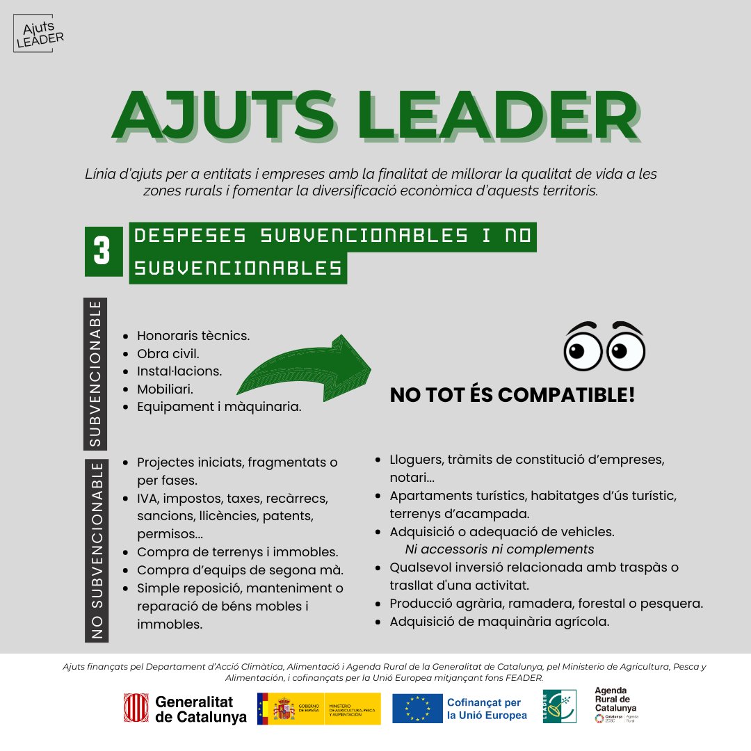 LEADERcatcentral tweet media