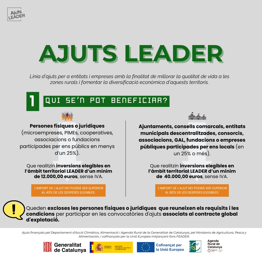 LEADERcatcentral tweet media