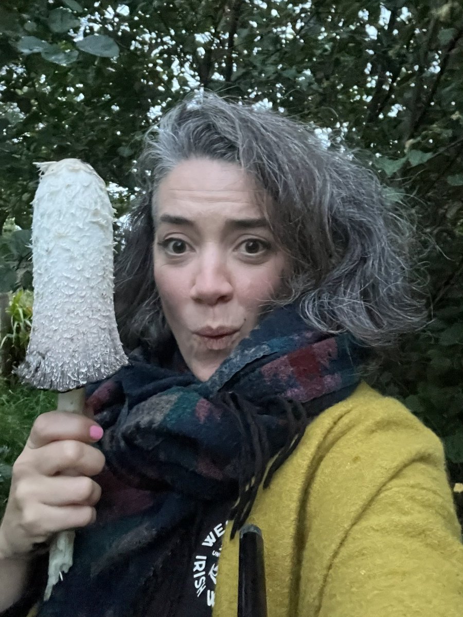 What a whopper 😂
#inkcap #mushroom #shaggymane