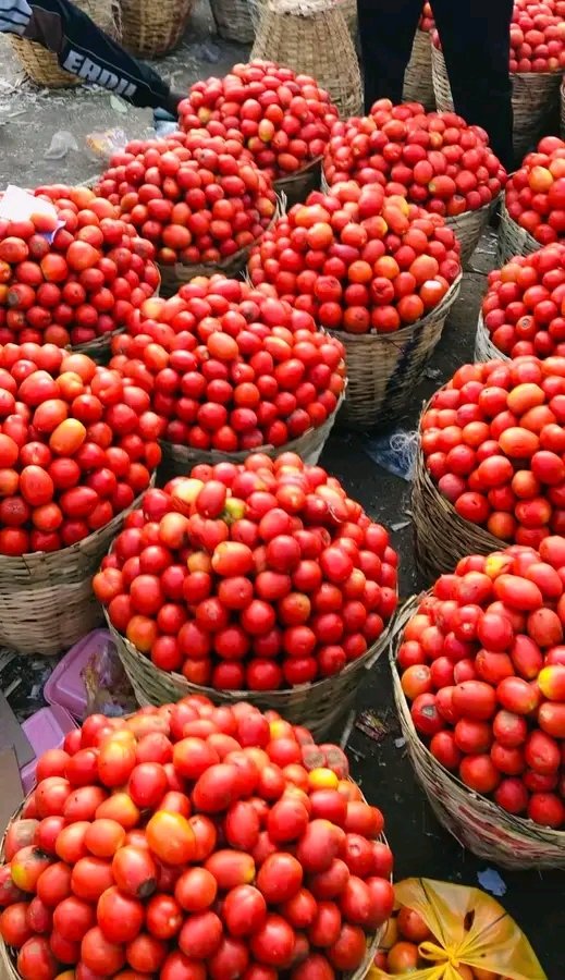 Even though una no dey Greet😄

I will still share updates. I bought basket of tomatoes today at 4k, some baskets na 3k. I also got a bag of shombo yesterday at 10k, but they sold today for 14k. Go and buy and Store because next month won’t b funny ooo.
