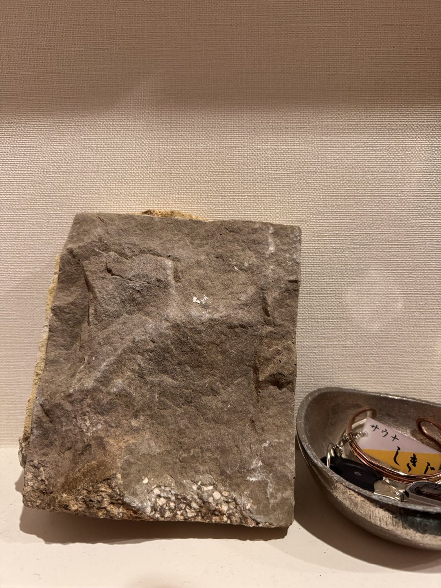 oden_eater's tweet photo. サウナ北欧の
旧第1サウナ室の壁の石
もろてきたで
家宝にします🥰🥰🥰 https://t.co/V9I1YzBhOL