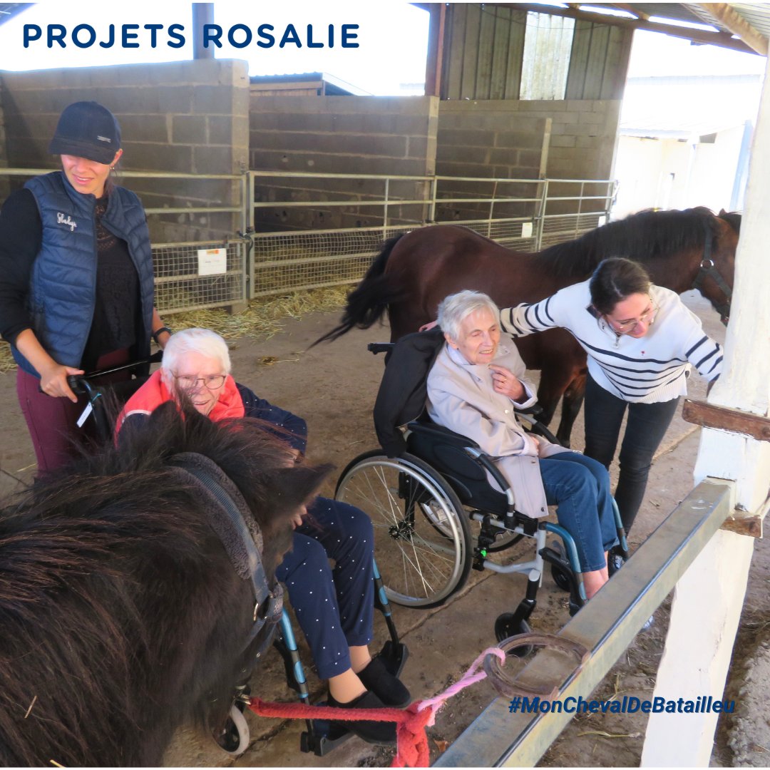 🐴 Mon cheval de bataille
Nouveau projet 🎯 Objectif 3.580 € pour offrir des séances #équithérapie bienfaisantes aux personnes âgées dépendantes d'une Ehpad de l'association Monsieur Vincent
▶️ Découvrez ce projet : urlz.fr/snyo
#ProjetsRosalie #FillesdelaCharité