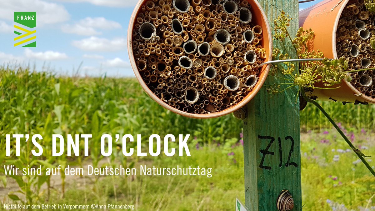 Umweltstiftung Michael Otto (@umwelt_stmo) on Twitter photo #FRANZprojekt auf dem Deutschen <a href="/naturschutztag/">Deutscher Naturschutztag</a> im Fachforum „Viele Wege führen ins Blühfeld: Wie wir Agrarnaturschutz in die Fläche bringen“
⌚Wann? Heute von 10:00-13:00 Uhr
📍Wo? Forum IV
Wir freuen uns auf einen konstruktiven Austausch beim #DNT2024 #FRANZprojekt auf dem Deutschen <a href="/naturschutztag/">Deutscher Naturschutztag</a> im Fachforum „Viele Wege führen ins Blühfeld: Wie wir Agrarnaturschutz in die Fläche bringen“
⌚Wann? Heute von 10:00-13:00 Uhr
📍Wo? Forum IV
Wir freuen uns auf einen konstruktiven Austausch beim #DNT2024