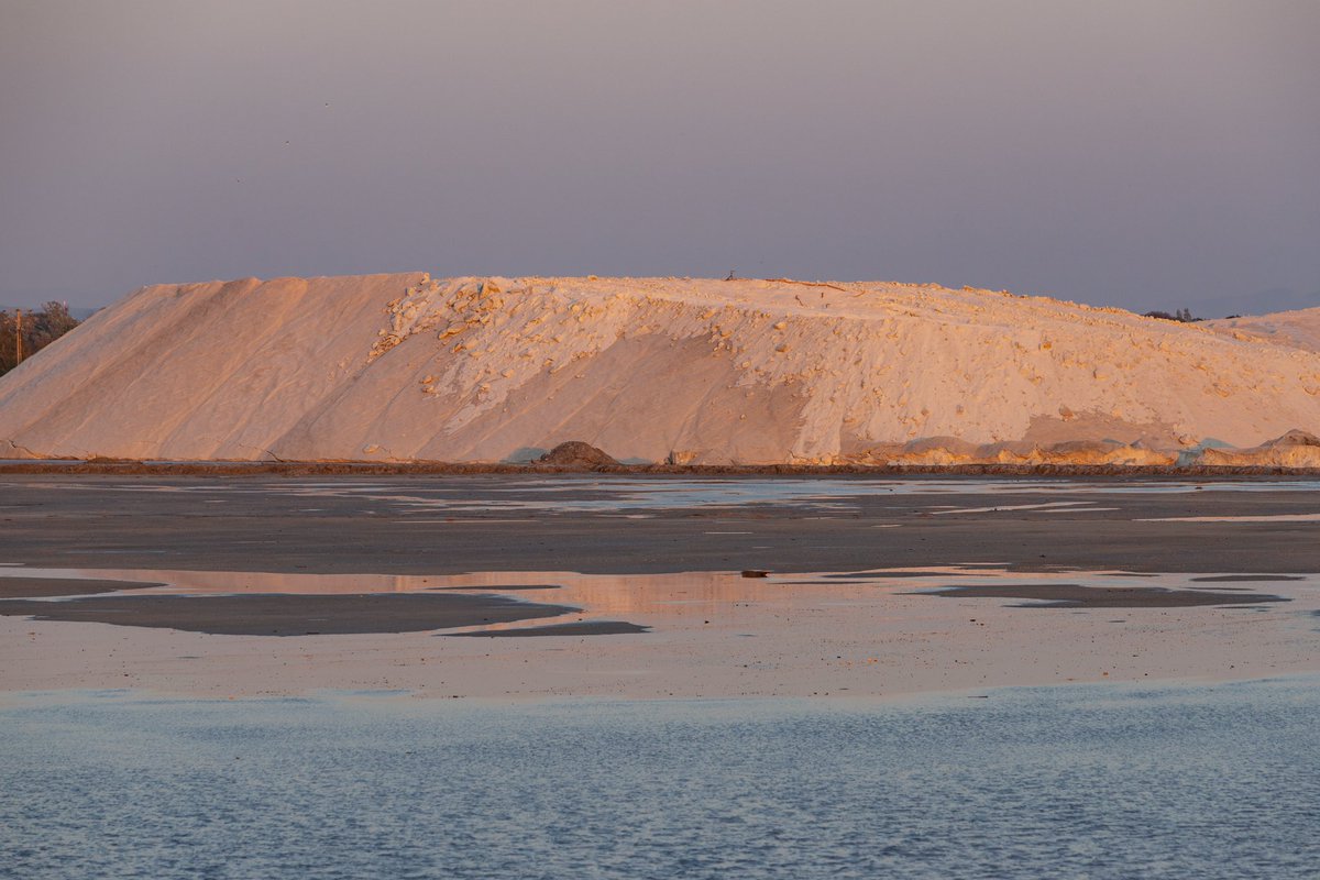 Voir la vie en rose… 🦩
J’explore les salins du midi et je travaille à mon prochain livre, consacré à l’épopée du sel en Camargue ⚓️ 
📚 Hâte de vous parler davantage de ce projet qui m’enthousiasme énormément, au cœur des sublimes paysages de Provence. 
📍Salin de Giraud