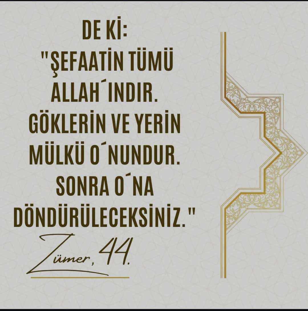 tanikeminedeniz's tweet photo. https://t.co/dBCohXQ8tq