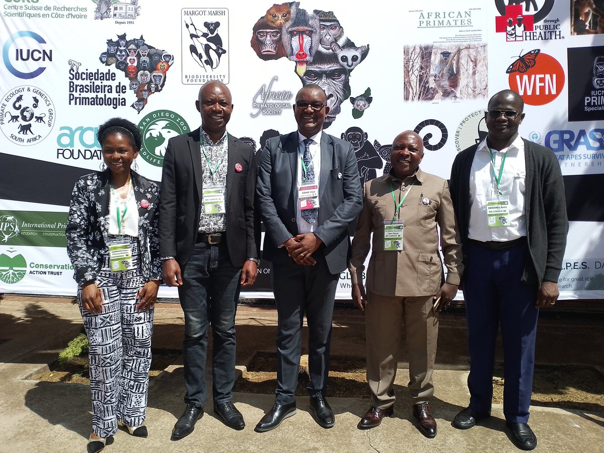 Jerry NKENKU (@jerrynkenku) on Twitter photo Une excellente ambiance d'échanges sur les Primates
<a href="/SocietyAfrican/">African Primatological Society</a> #galago #bushbaby #APS2024 🐒 Une excellente ambiance d'échanges sur les Primates
<a href="/SocietyAfrican/">African Primatological Society</a> #galago #bushbaby #APS2024 🐒