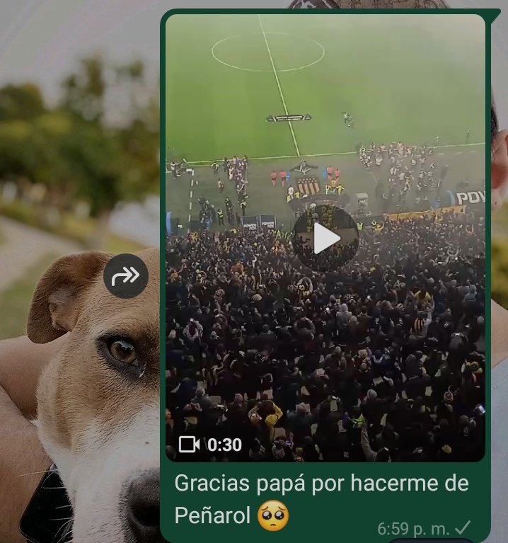 Fue tan emocionante el recibimiento de hoy que entre lágrimas solo me quedaba agradecer a la persona que me inculcó está pasión. GRACIAS PAPÁ, Esto es Peñarol 🖤💛