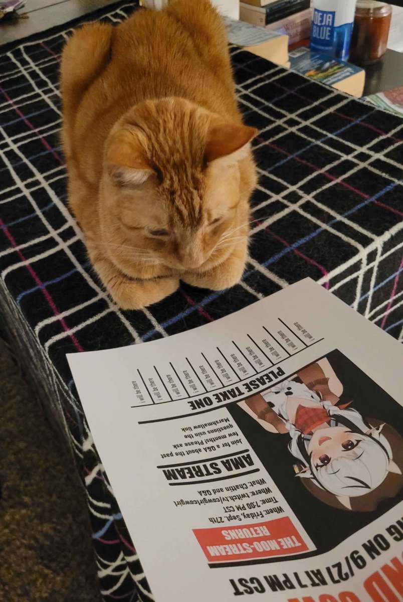 chicken_enjoyer's tweet photo. The cows down the street wouldn't take a flyer, gentlemen it's up to us for #moostreamreturns
We'll be out there tomorrow... https://t.co/ItZHszkGGL