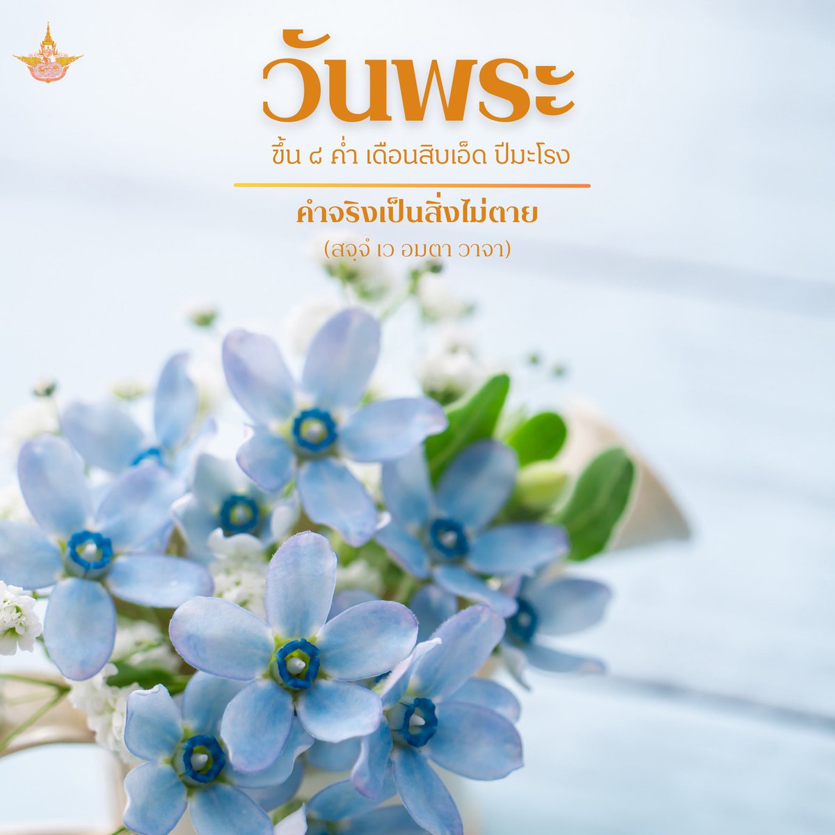 drraa_pr's tweet photo. https://t.co/UeGdDImRwt