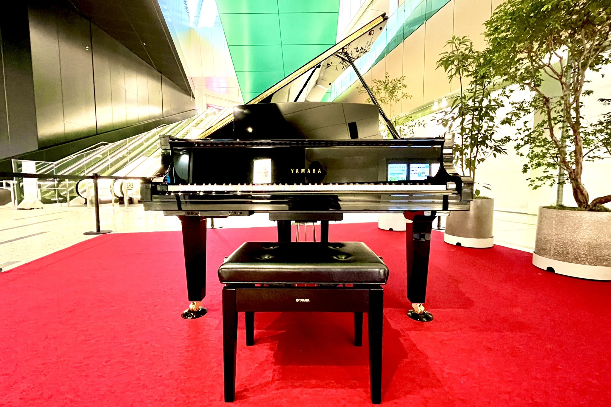 グランドピアノ グランドピアノ】国内外グランドピアノの展示、取り扱いがござい
