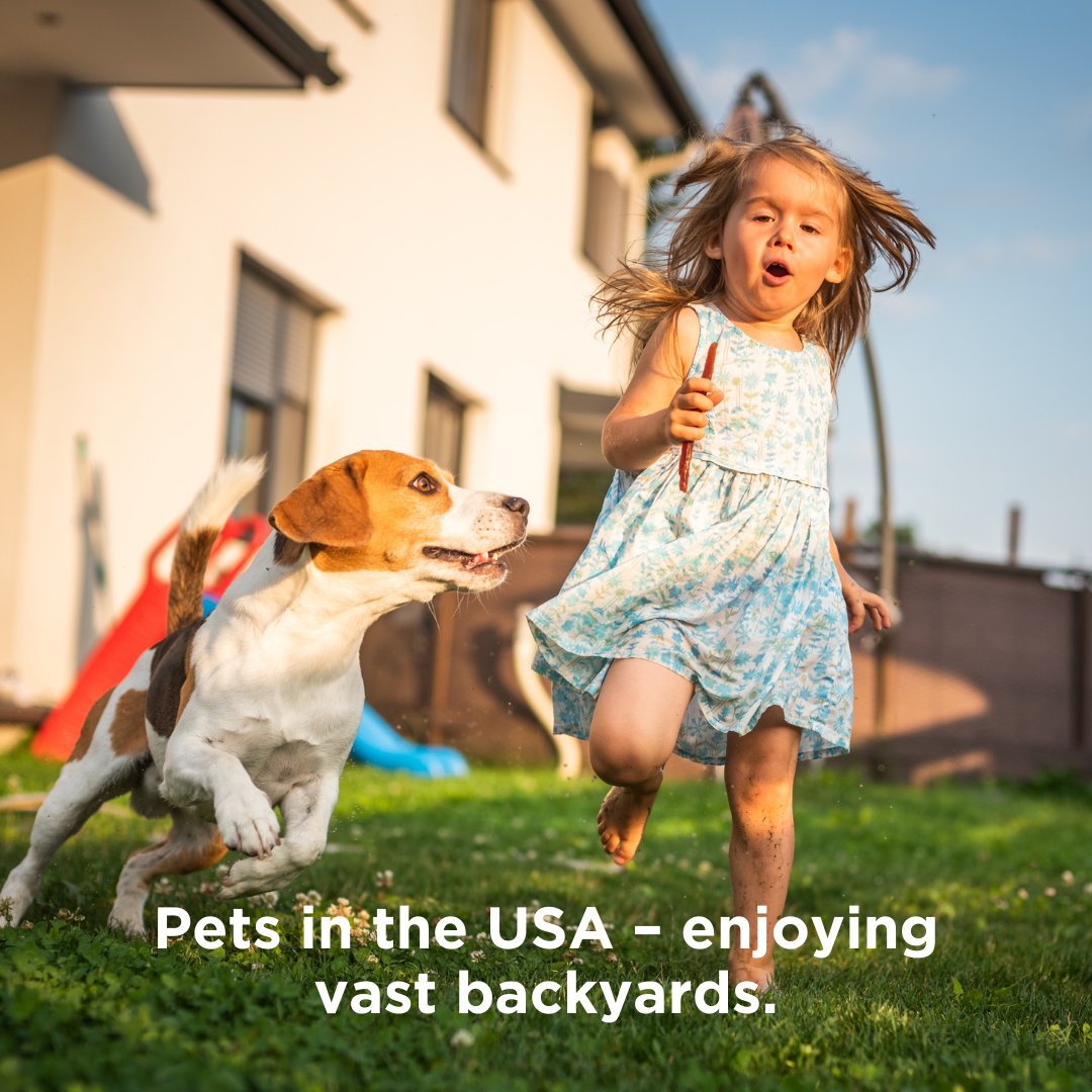 FAUNUS_FNS's tweet photo. Pets around the world๐พ
Visit๐ https://t.co/Novc0Ud1dQ
Join us at Telegram https://t.co/hSZtg03w2K
#FaunusGlobal #PetsWorldwide #GlobalPets #PetAdventures #DiversePets #WorldOfPets #InternationalPets https://t.co/T3DtrH6TTb