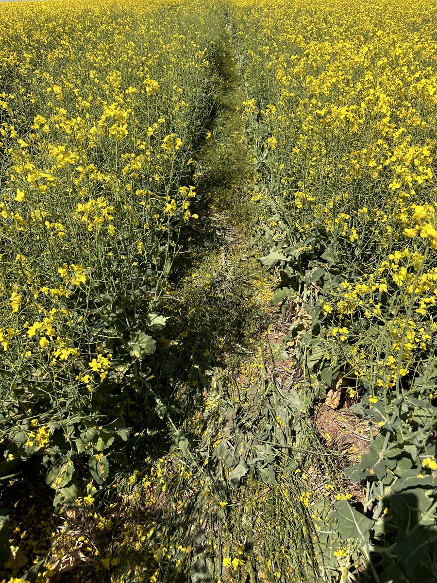 Biz Minhard tweet media