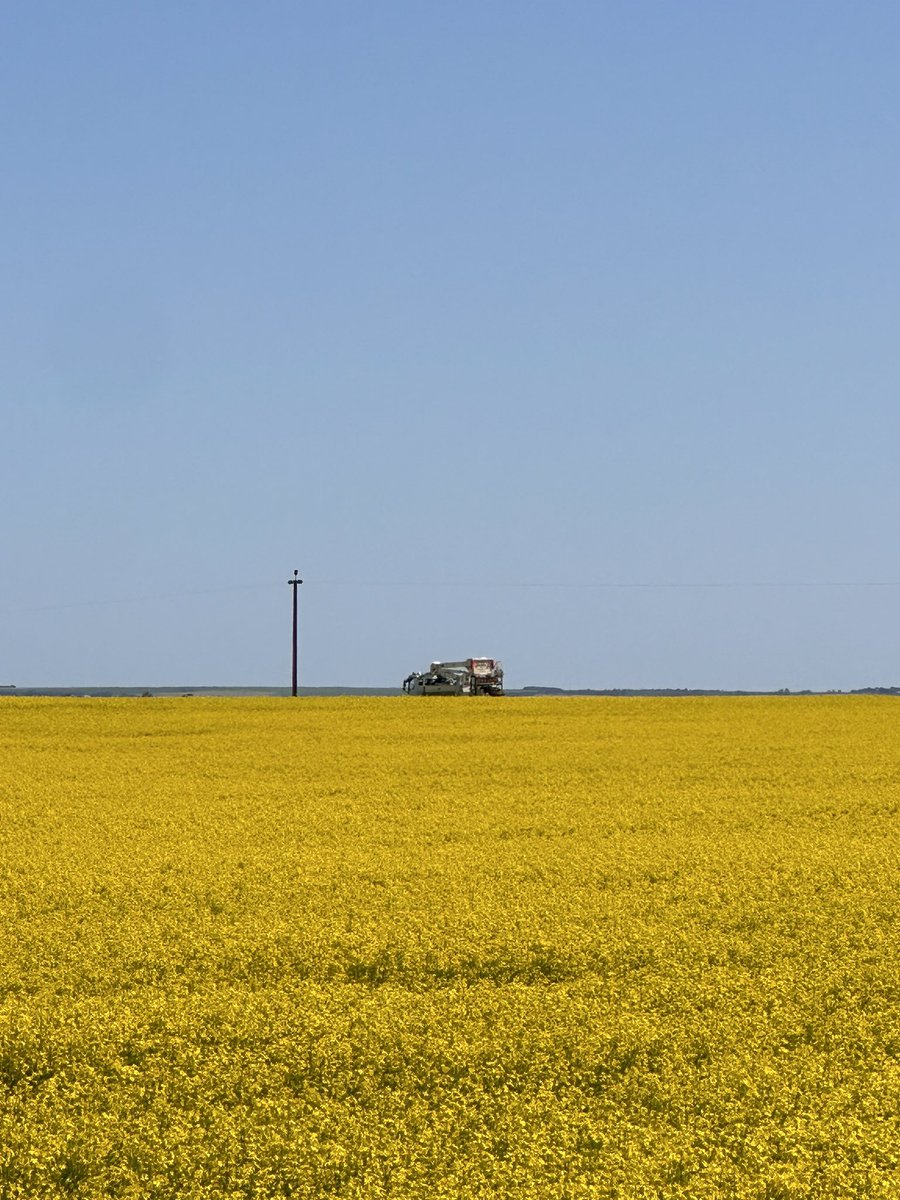 Biz Minhard tweet media