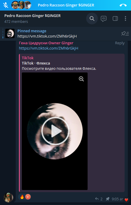 GingerRaccoon's tweet photo. Tiktok Video has been Posted by the Owner of $GINGER 
→ https://t.co/VSciFFgzkv

Show him support and love 🦝

Owner Is with us taking $GINGER to Millions 🚀🚀
This thing never happened in Meme history 🦝🦝

#GINGERTOBILLIONS #GINGEROWNERWITHUS https://t.co/NdsWG9j6jT