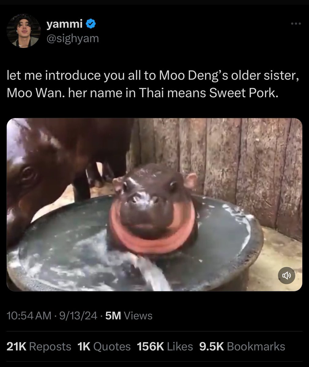 MooWanSOL's tweet photo. The sweetest pork to rule them all. #moowan https://t.co/bNaGc7HOtM