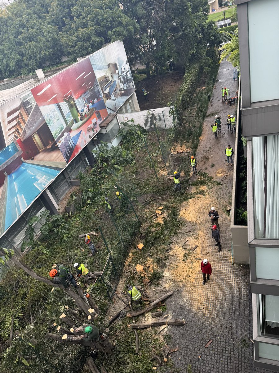 Brend_iux's tweet photo. Ecocidio, no veo otro nombre .
Es más que tristeza 😭😭😭
La plaga es el ser humano @SEDEMA_CDMX @EnCoapaMx @UCS_GCDMX https://t.co/RjoJaJjZSz