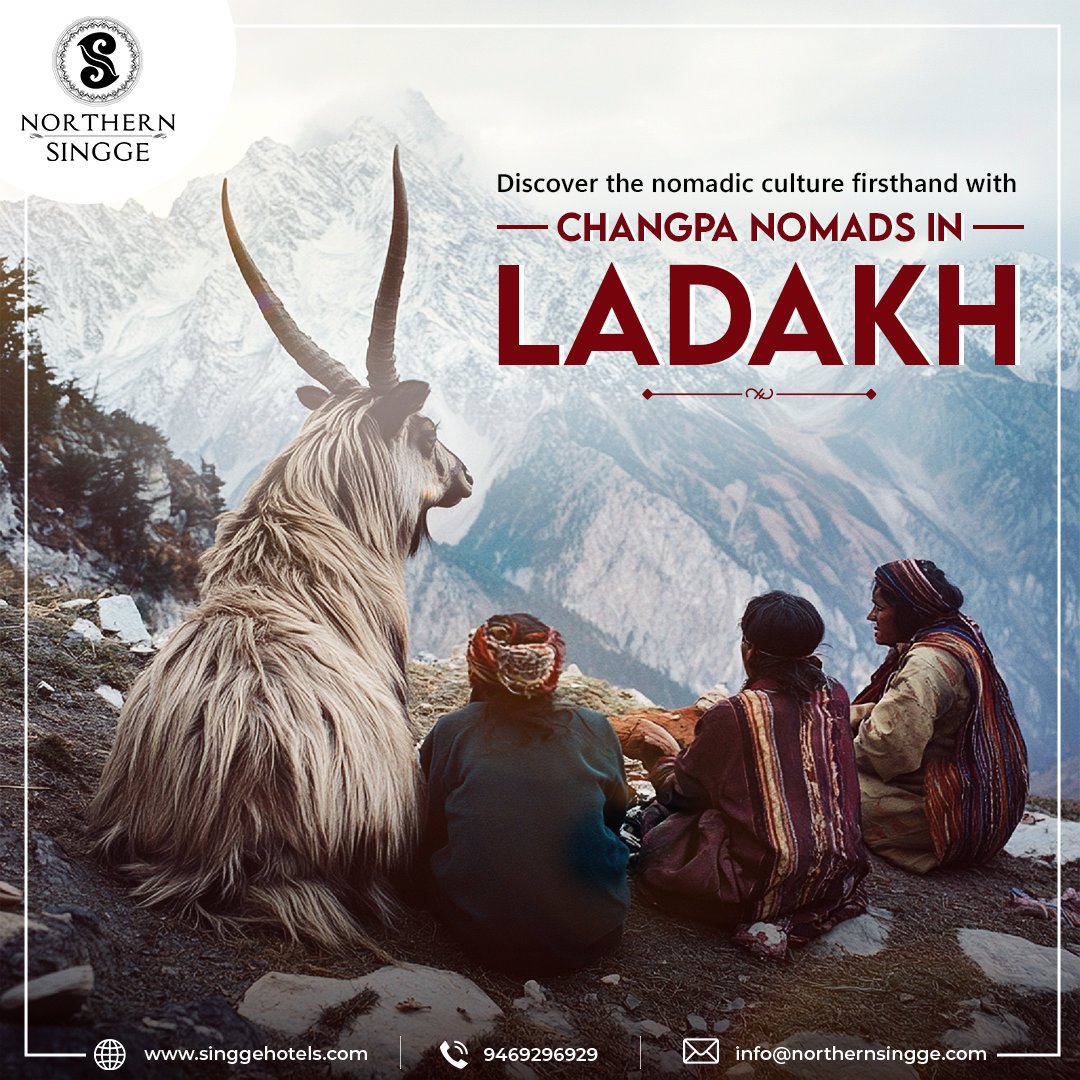 NorthernSingge's tweet photo. At Northern Singge, experience Ladakh's rich culture with the Changpa Nomads. Discover their deep-rooted traditions and vibrant lifestyle, living in harmony with the rugged beauty of Ladakh.

Book now: https://t.co/5E1qR08oPQ or call 9469296929. https://t.co/bj4iH4BwEz