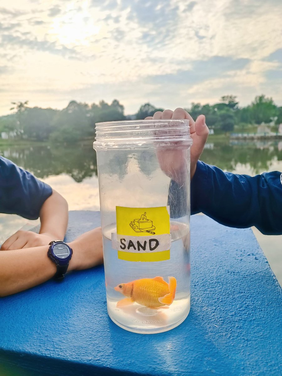 SriAyeshaNews's tweet photo. Dar-Salam 2:
Today was a bittersweet day as our students said goodbye to their beloved goldfish, a friend for 3 years. Watching it grow from a tiny speck to a big apple was a beautiful journey of care and responsibility. 🐟❤️ #PBL #GoodbyeFriend https://t.co/RvRaSMbfvX