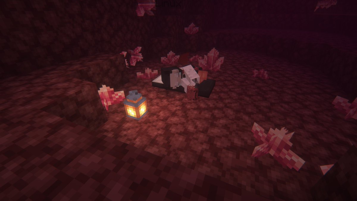 kitcsmp tweet picture