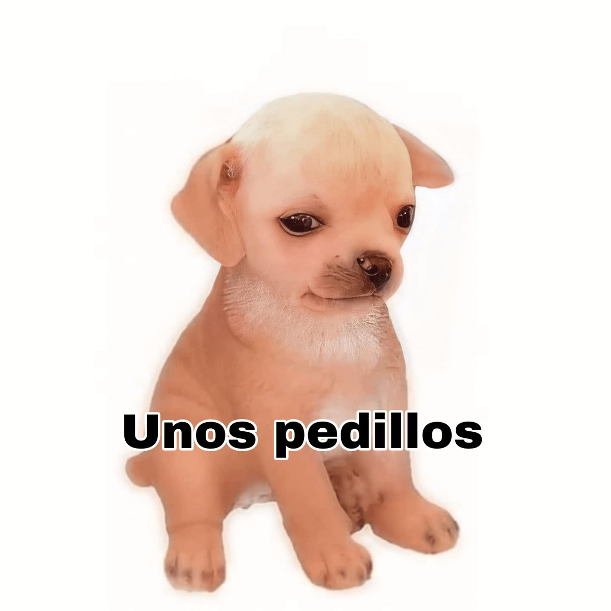 ThePrinceBass's tweet photo. ¿Porque desapareciste por un tiempo de aquí tú? https://t.co/c3KMgDLZjL