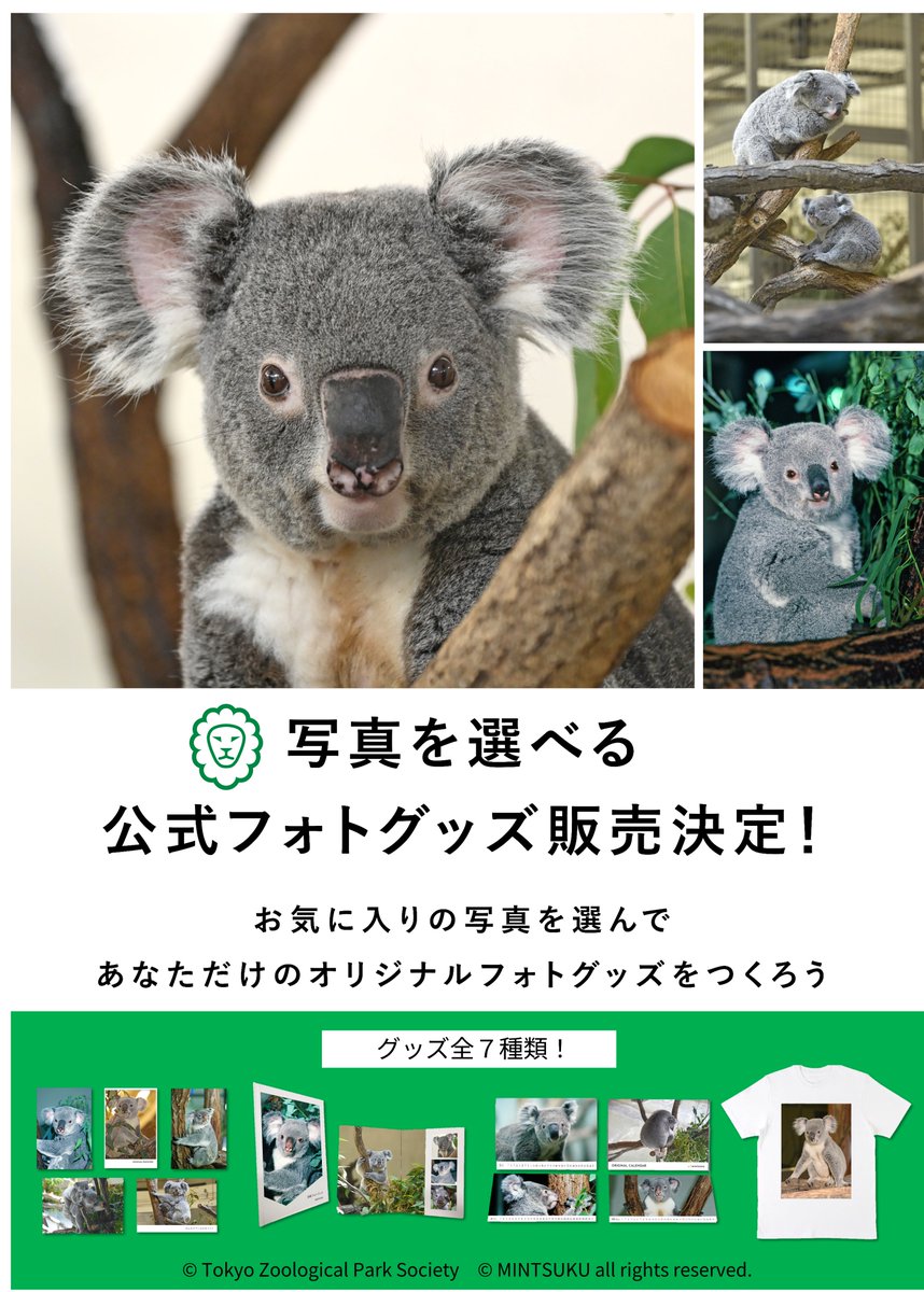 【コアラさま専用】 お知らせ】 ／ 「コアラ来園40周年記念 カスタムフォトグッズ