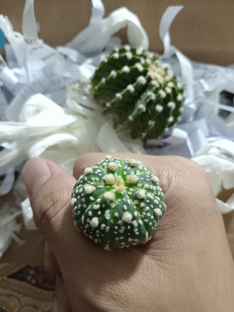 uncut___version's tweet photo. 🥲🥲🥲 https://t.co/1wdLHWjvNi