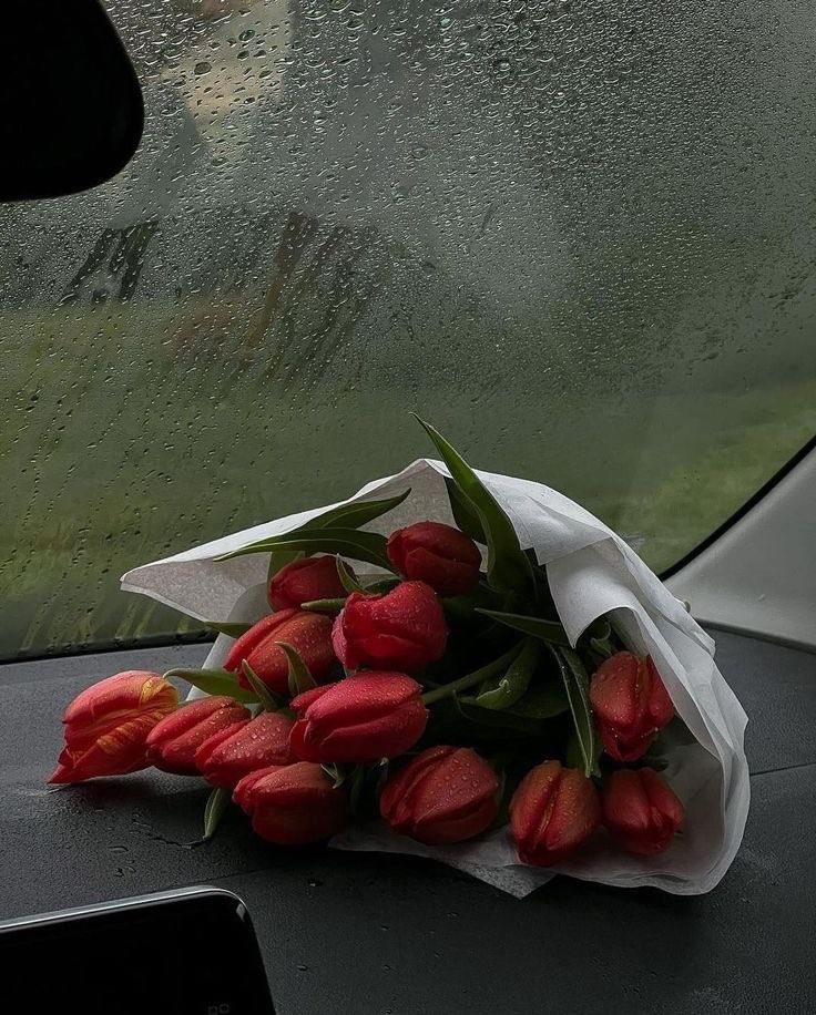 شعُور . tweet media