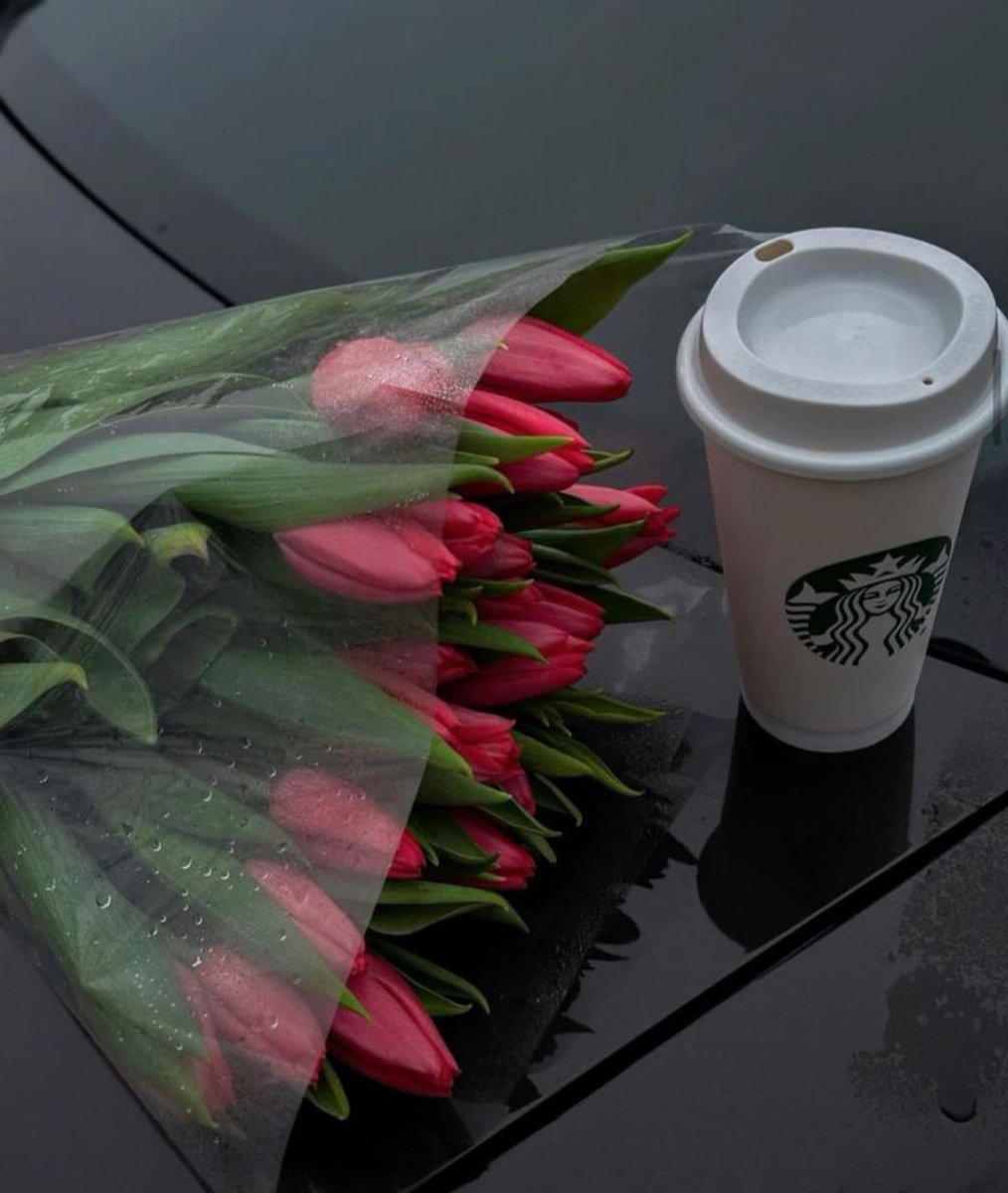 شعُور . tweet media