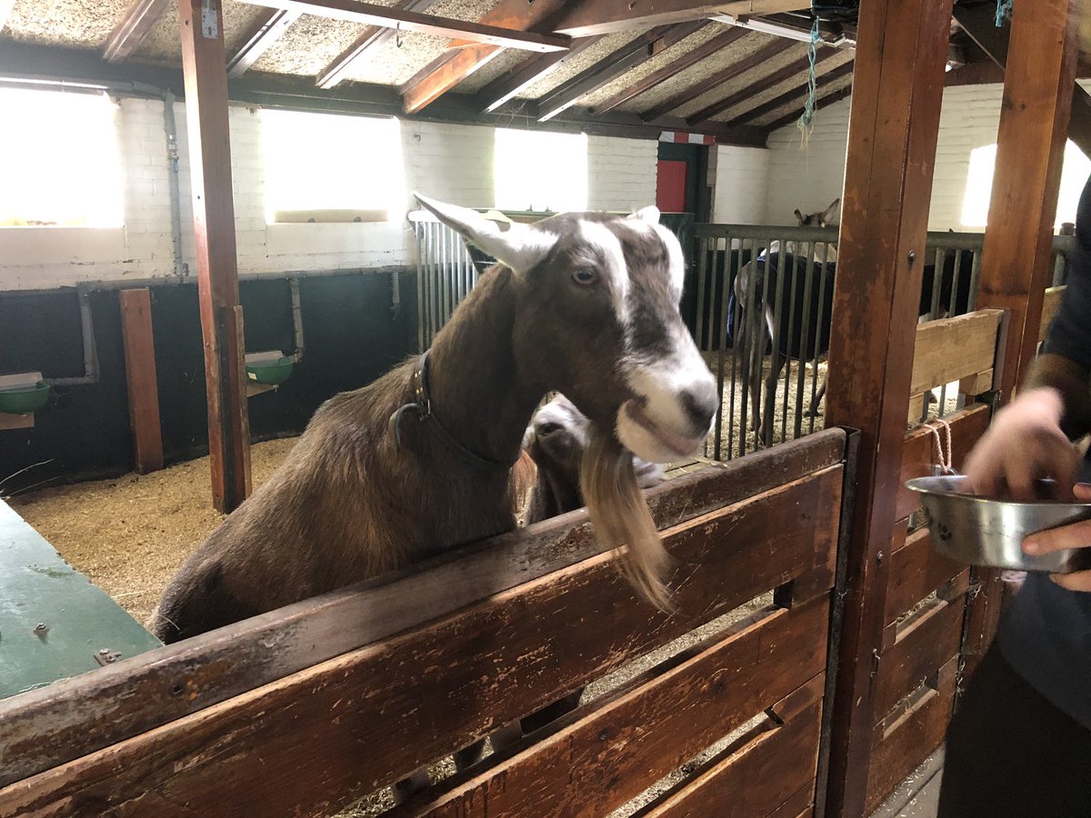 De Nijkamphoeve tweet media