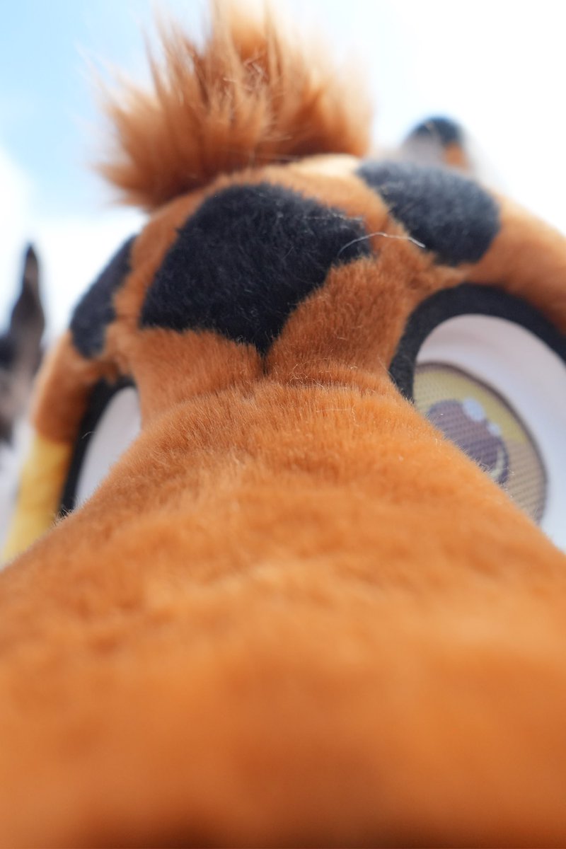 JakuzziRedPanda's tweet image. @CopperYopper I nominate you!