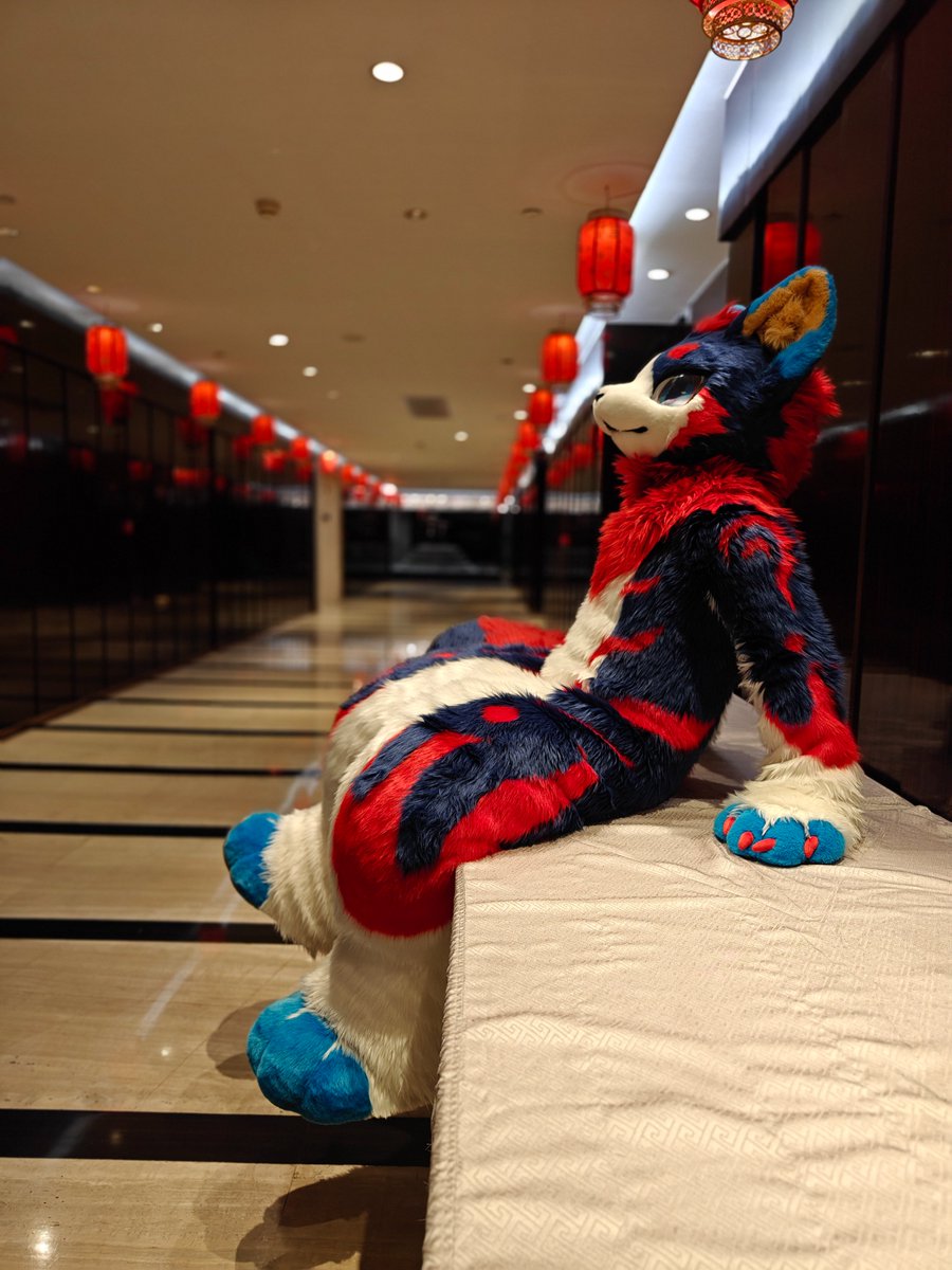 此刻宁静的时光，只有我和你。   

拍摄：<a href="/hinekota/">ネコタ@NEKOTA➡HiFurry</a>

#FursuitFriday
