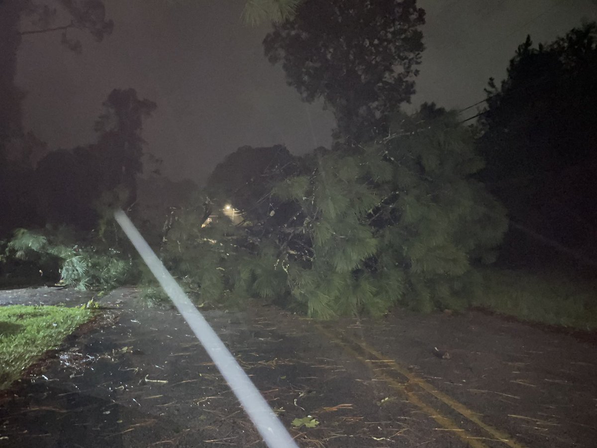 annette_tv's tweet image. #HurricaneHelene is making itself known in #Waycross, GA. A massive  tree fell on top of a pick up truck, blocking a roadway on Baltimore Avenue. @ActionNewsJax @MikeFirstAlert