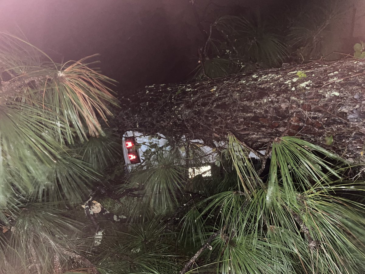 annette_tv's tweet image. #HurricaneHelene is making itself known in #Waycross, GA. A massive  tree fell on top of a pick up truck, blocking a roadway on Baltimore Avenue. @ActionNewsJax @MikeFirstAlert