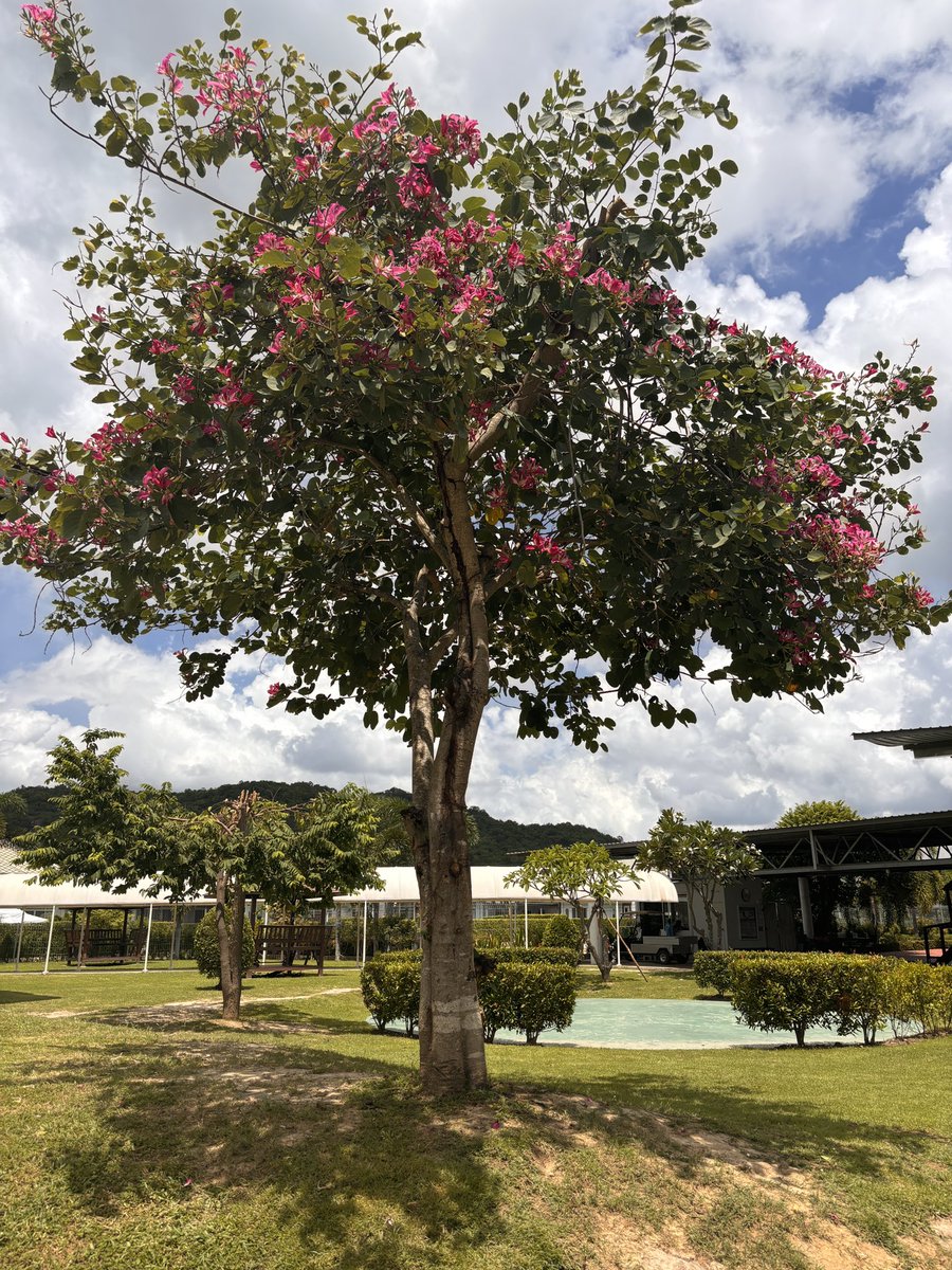 Beccy Fox tweet media