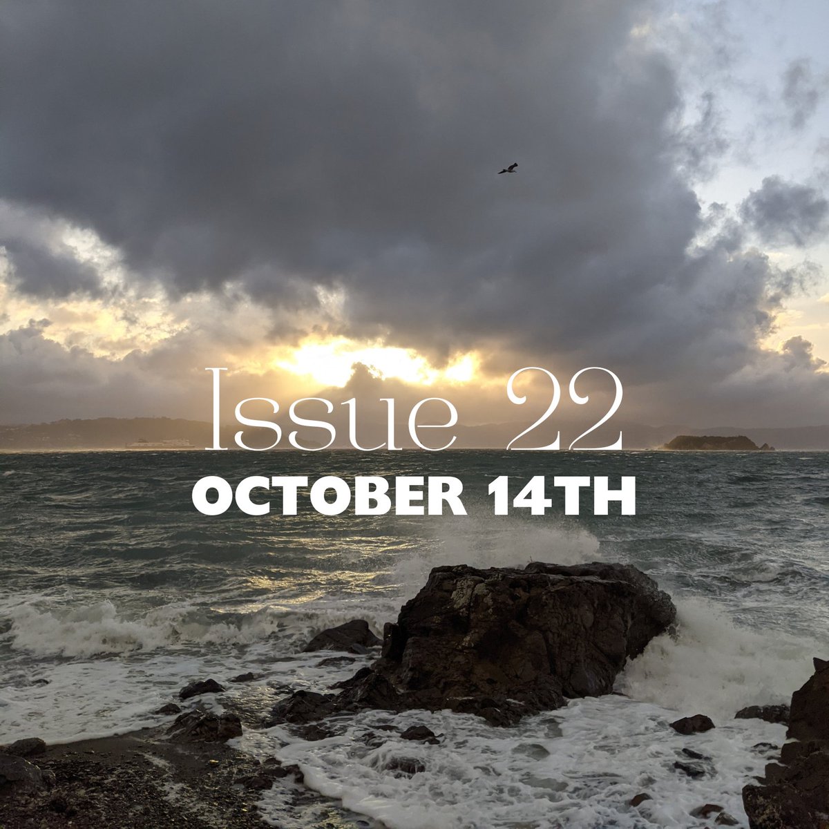 HeadlandJournal's tweet image. Mark your calendars!

Issue 22 will be live Monday 14th of October!

While you wait, have a read of our past issues on our website headland.org.nz/issues/ and stay tuned on our social media for more author introductions.

We can't wait to share this with you!