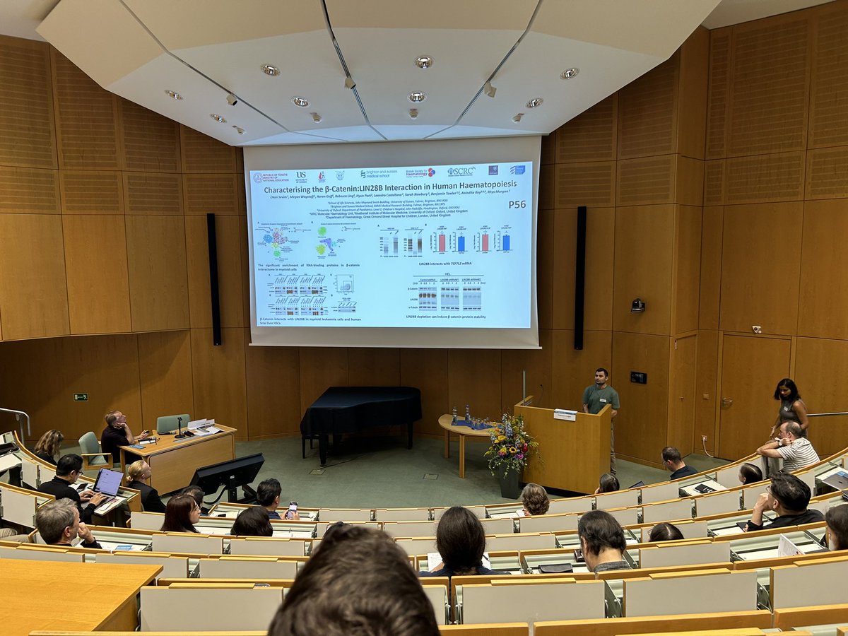 Super proud of <a href="/hyun_park7/">Hyun Park</a> from <a href="/BSMSMedSchool/">BSMS</a> and <a href="/oknsvm/">Okan Sevim</a> from <a href="/SussexLifeSci/">Sussex Life Sciences</a> who presented their posters and flash talks on b-catenin protein partners in leukaemia cells at #WNT2024. 

Big thanks to <a href="/BritSocHaem/">BSH - Haematology</a> for the travel awards for both to attend and present! 👊