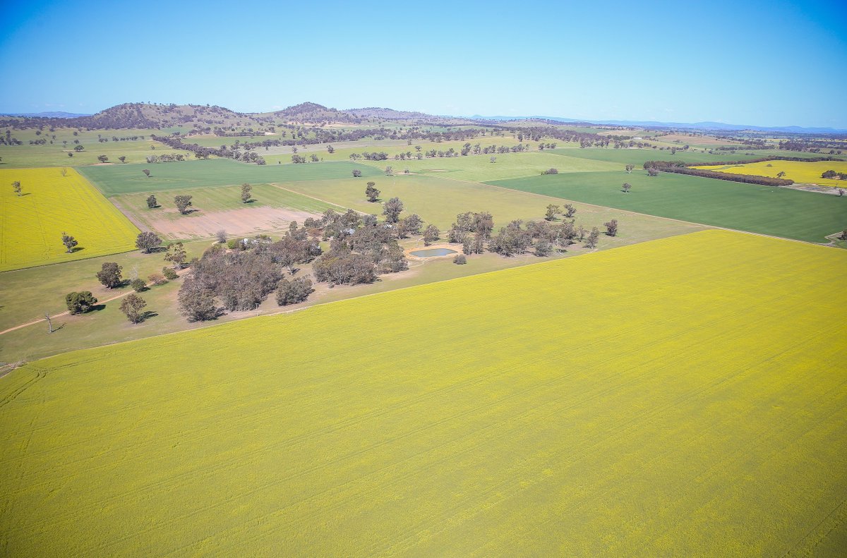 Did you get to see how beautiful the countryside looked from the air during the field days? Our images were taken by talented photography Andy Rogers. #hentyfielddays #henty #HMFD
